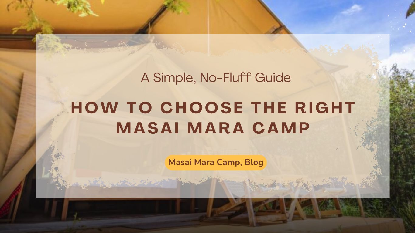 how-to-choose-the-right-masai-mara-camp-a-simple-no-fluff-guide