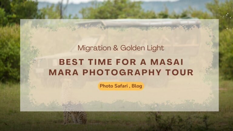 best-time-for-a-masai-mara-photography-tour-migration-golden-light