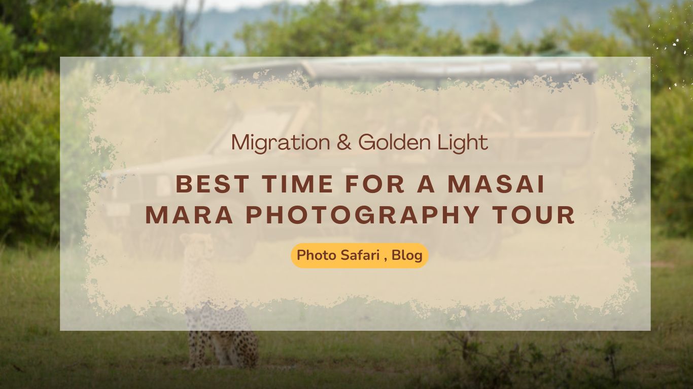 best-time-for-a-masai-mara-photography-tour-migration-golden-light