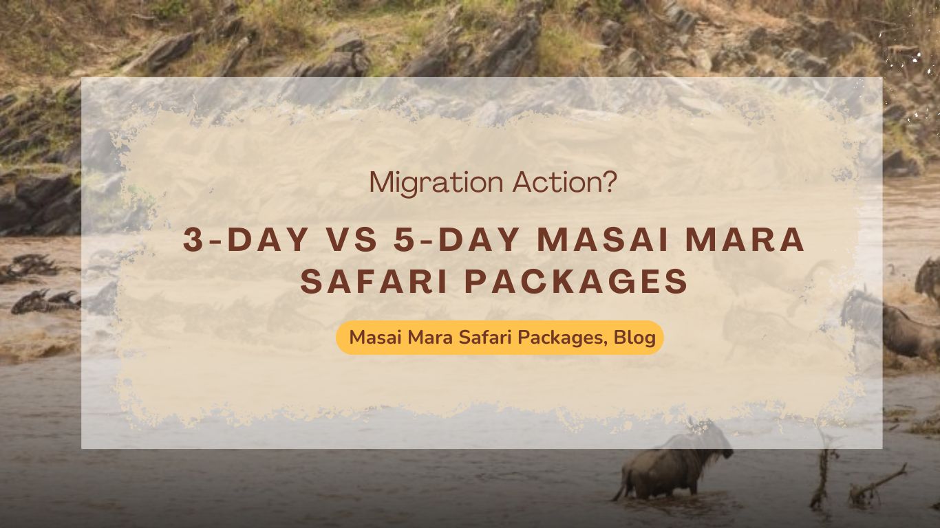3-day-vs-5-day-masai-mara-safari-packages