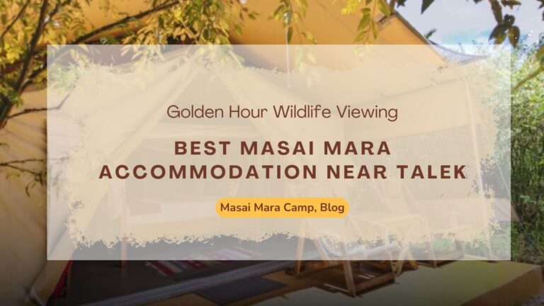 best-masai-mara-accommodation-near-talek-golden-hour-wildlife-viewing/