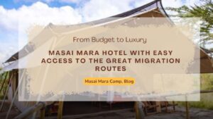masai-mara-hotel-with-easy-access-to-the-great-migration-routes