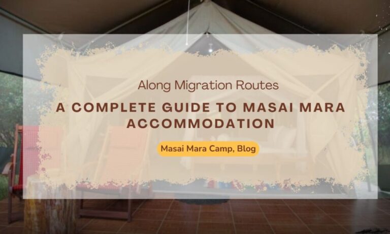 a-complete-guide-to-masai-mara-accommodation-option-along-migration-routes-1000x600