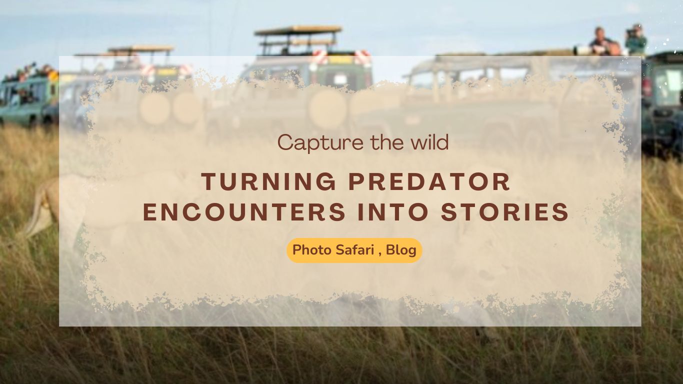 masai-mara-photography-tour-turning-predator-encounters-into-stories