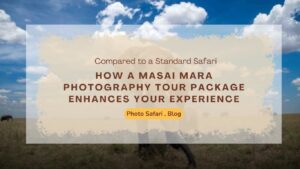 Masai Mara photography tour packages