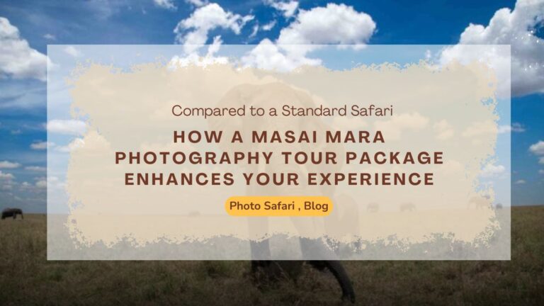 Masai Mara photography tour packages