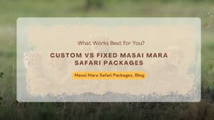 custom-vs-fixed-masai-mara-safari-packages-what-works-best-for-you