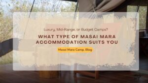 what-type-of-masai-mara-accommodation-suits-you