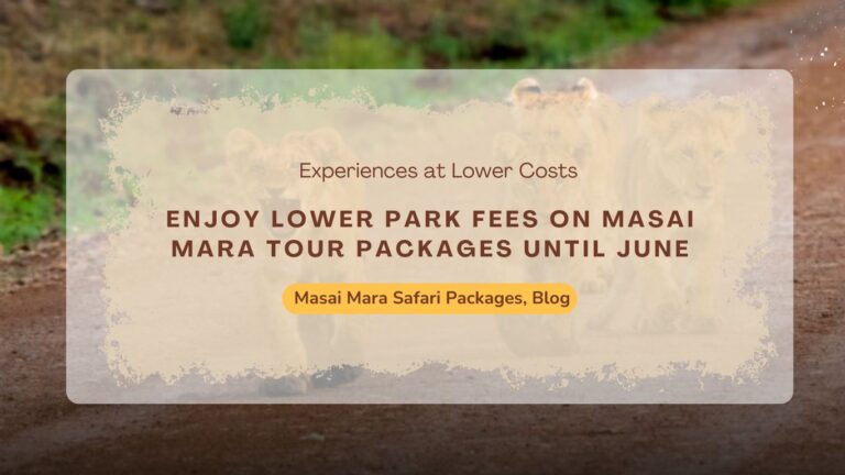 enjoy-lower-park-fees-on-masai-mara-tour-packages-until-june