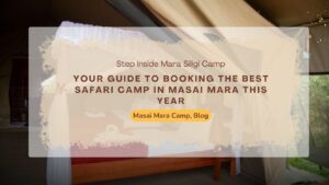 your-guide-to-booking-the-best-safari-camp-in-masai-mara-this-year