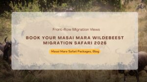 Best Masai Mara Safari for 2026