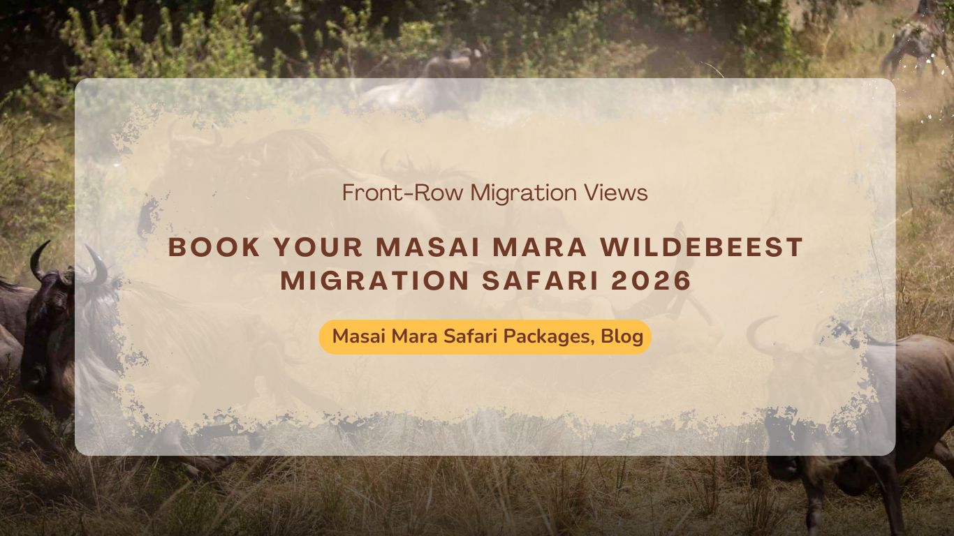 Best Masai Mara Safari for 2026