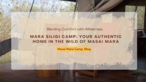 Best Masai Mara Camp in 2026