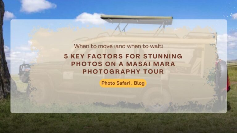 5-key-factors-for-stunning-photos-on-a-masai-mara-photography-tour