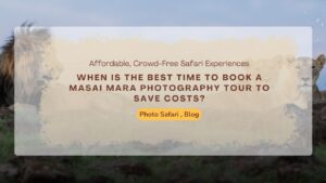 when-is-the-best-time-to-book-a-masai-mara-photography-tour-to-save-costs