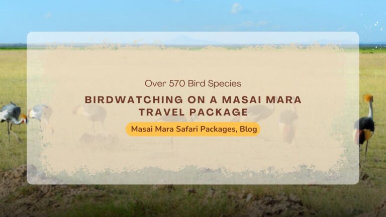 birdwatching-on-a-masai-mara-travel-package-what-to-expect