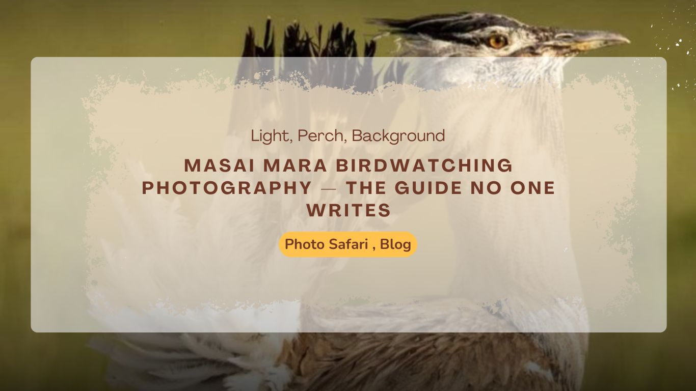 masai-mara-birdwatching-photography