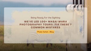 we-have-led-100-masai-mara-photography-tours-fix-these-mistakes