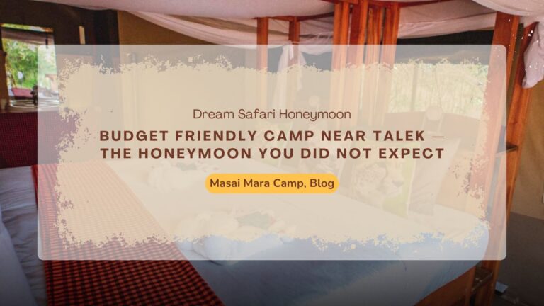 budget-friendly-camp-near-talek-for-an-unforgettable-honeymoon