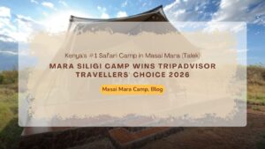 mara-siligi-camp-wins-tripadvisor-travellers-choice-2026