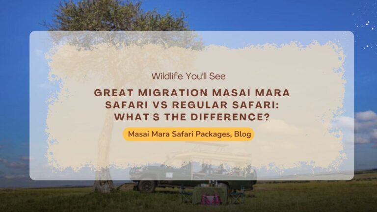 Safari-packages