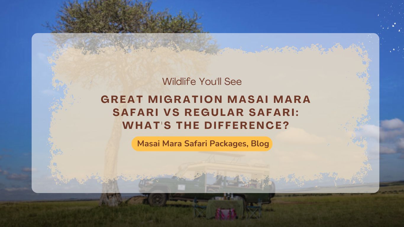 Safari-packages