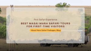 best-masai-mara-safari-tours-for-first-time-visitors