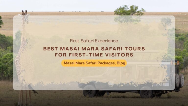 best-masai-mara-safari-tours-for-first-time-visitors