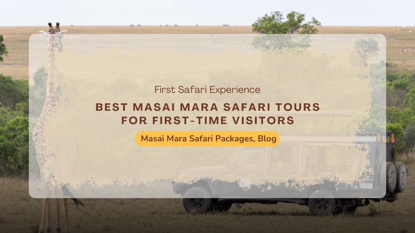 best-masai-mara-safari-tours-for-first-time-visitors