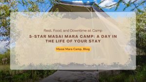 5-star-masai-mara-camp-day-in-the-life