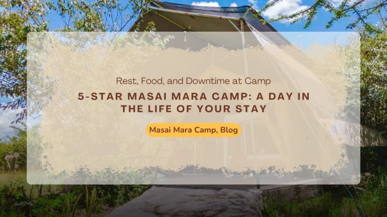 5-star-masai-mara-camp-day-in-the-life