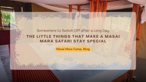 little-things-that-make-a-masai-mara-safari-stay-special