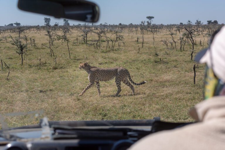 Masai Mara Photography Tour