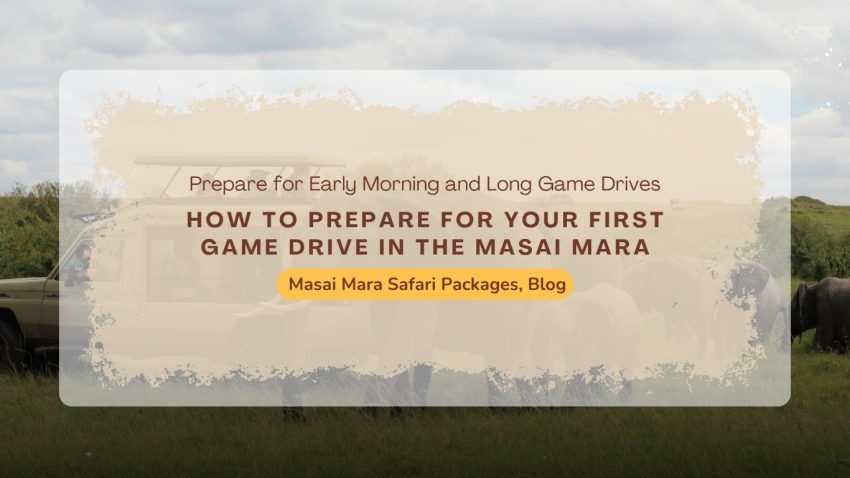 how-to-prepare-first-game-drive-masai-mara